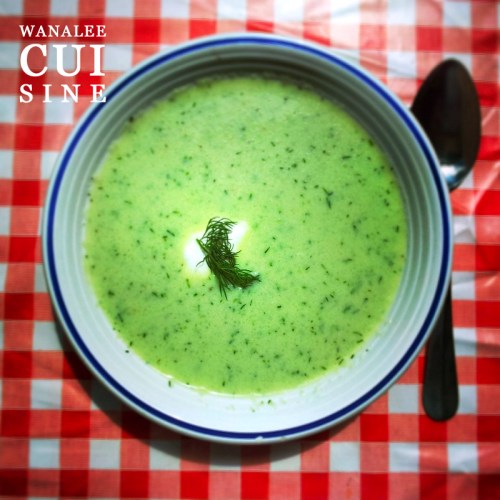 Soupe froide concombre